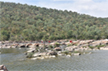 Will stop Karnataka from going ahead with Mekedatu project: Tamil Nadu